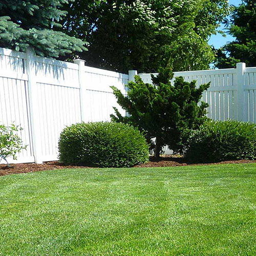 Yard Maintenance Services